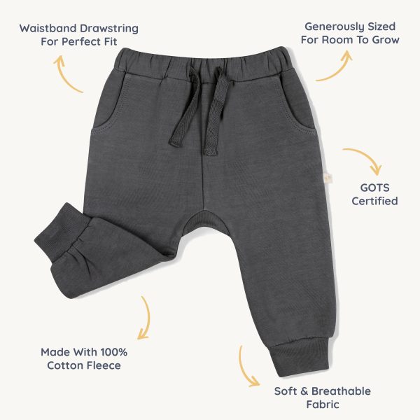 Organic Fleece Jogger Pants - Slate For Cheap - Image 5