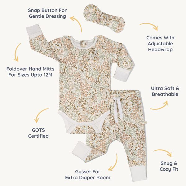 Organic Ruffle Onesie & Pants Set - Gardenia Cheap - Image 5